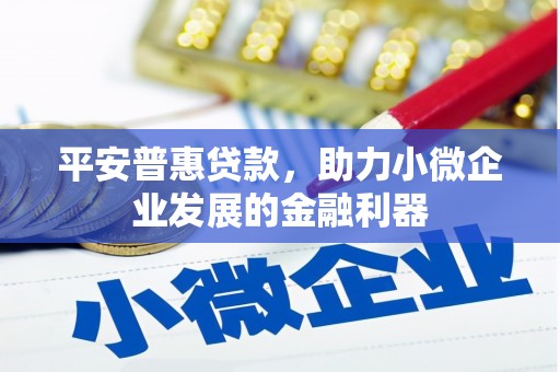 成安平安普惠贷款，助力小微企业发展的金融利器