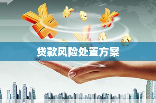 成安贷款风险处置方案