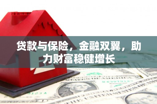 成安贷款与保险，金融双翼，助力财富稳健增长