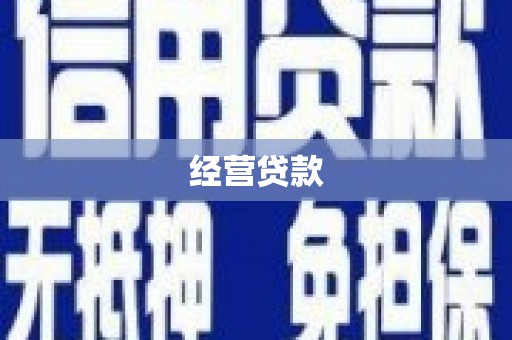 成安经营贷款