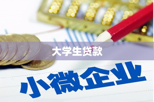 成安大学生贷款